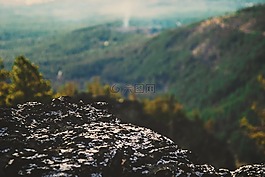 景觀,查看,自然