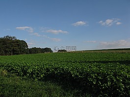 云,綠色,景觀