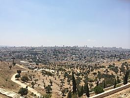 城市,查看,全景圖