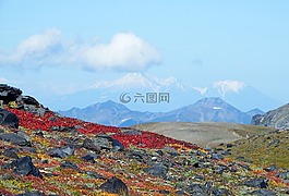 山,火山,苔原