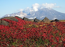 山,火山,苔原