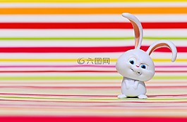 野兔,邪惡,雪球