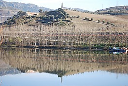 杜罗河,régua,河