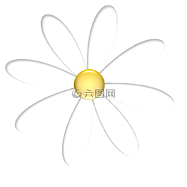 花,自然,雛菊
