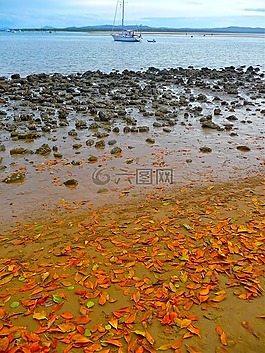 海邊,海濱,海岸線(xiàn)