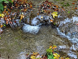 水,過獨身生活,秋季