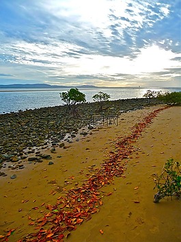 海邊,海濱,海岸線(xiàn)