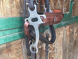 叮咬,口,hackamore