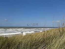 沙丘,海,水