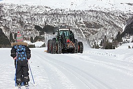 雪,冬季,越野滑雪