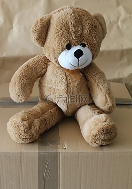 熊,泰迪,毛絨玩具