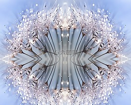 閃亮,季節(jié),萬花筒