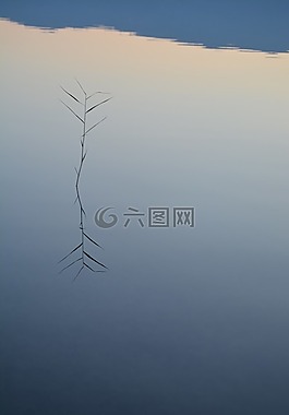 水,湖,性質(zhì)