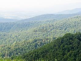 山,樹,丘陵