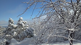 冬天,雪,冬季魔術(shù)