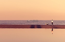 海,海洋,水