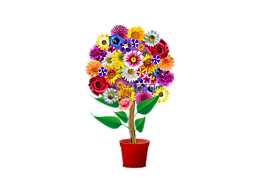 鮮花,花盆,和諧