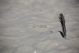 沙,春天,海灘