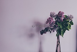 花,花束,丁香