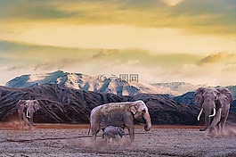 大象,山,灰塵