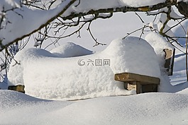 冬天,雪,冷