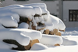 雪,木材,冬天
