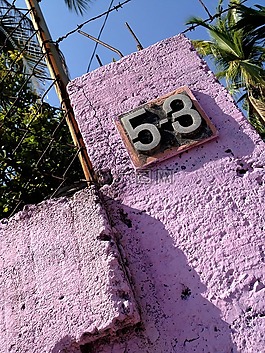 紫色,號(hào)碼,多彩