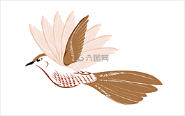 鳥,飛,野生動(dòng)物