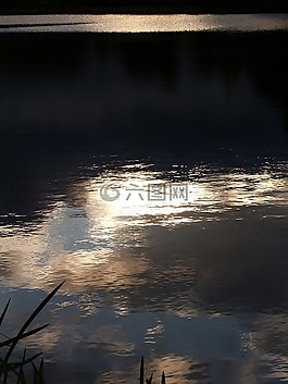 水,池塘,黃昏