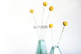 花,室內(nèi),設(shè)計(jì)
