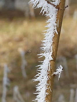 弗羅斯特,雪,冰