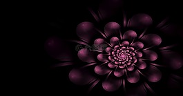 分形,花,丁香