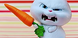 野兔,邪惡,雪球