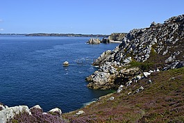 景觀,海,巖