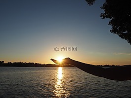 手,日落,控股