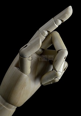 手,手指,說明