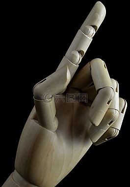 手,手指,說明