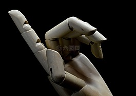 手,手指,說明