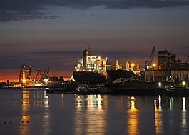 海港,端口,waalhaven