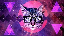 猫,背景,设计