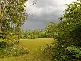 原野,風(fēng)暴,自然