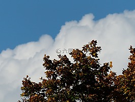天空,云,云山脈