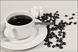 咖啡,杯,受益
