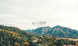山,丘陵,森林