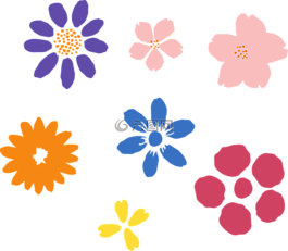 鮮花,櫻桃,櫻花