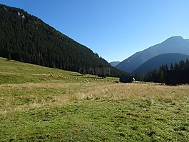 西方塔特拉,山,chochołowska谷