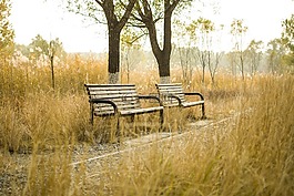 长椅,公园,秋天