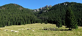 西方塔特拉,山,chochołowska谷