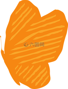 蝴蝶,蛾,昆蟲