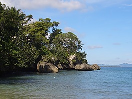 海洋,島,海